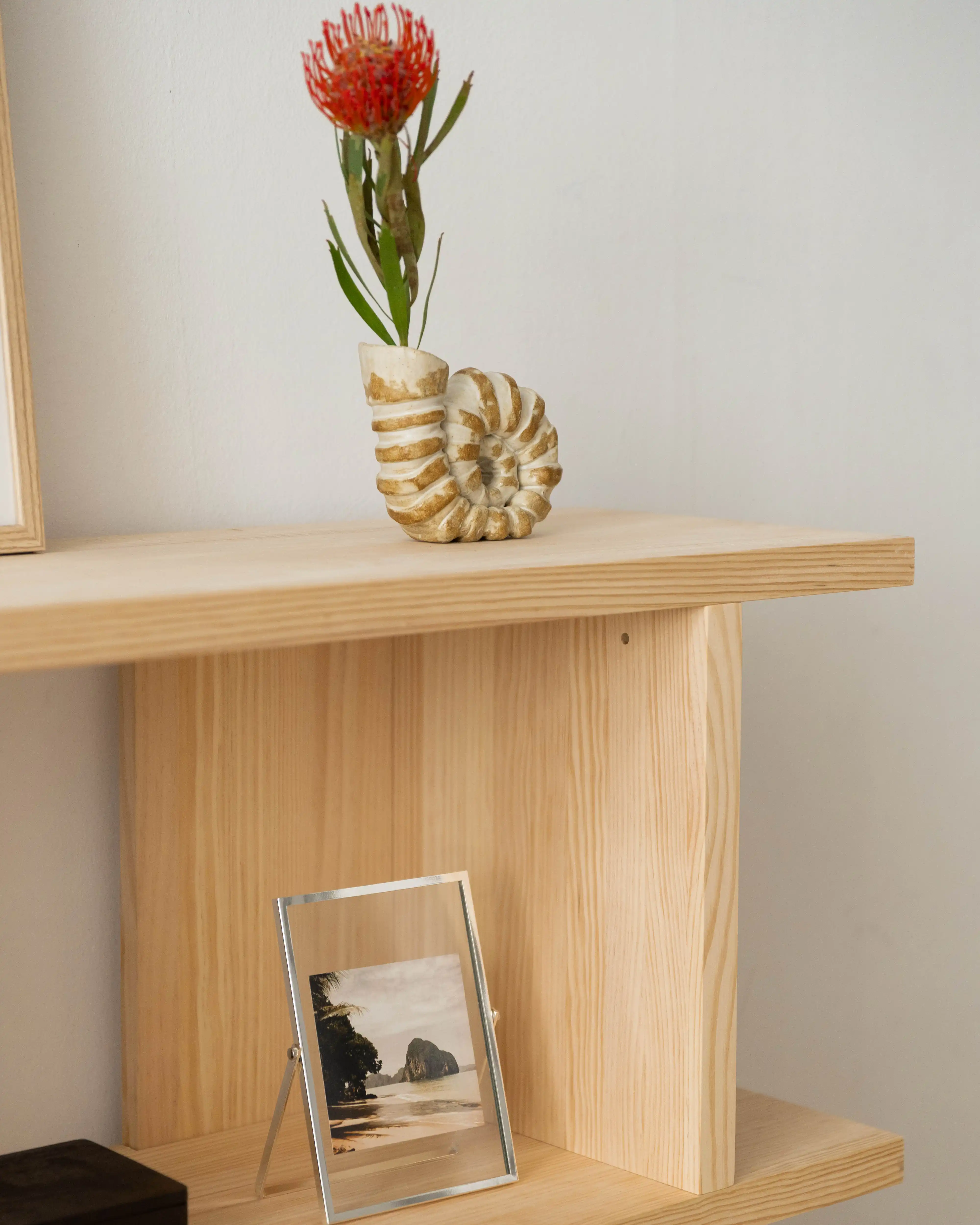 Castell solid wood bookcase 106.5 x 77.8 cm - Image 2