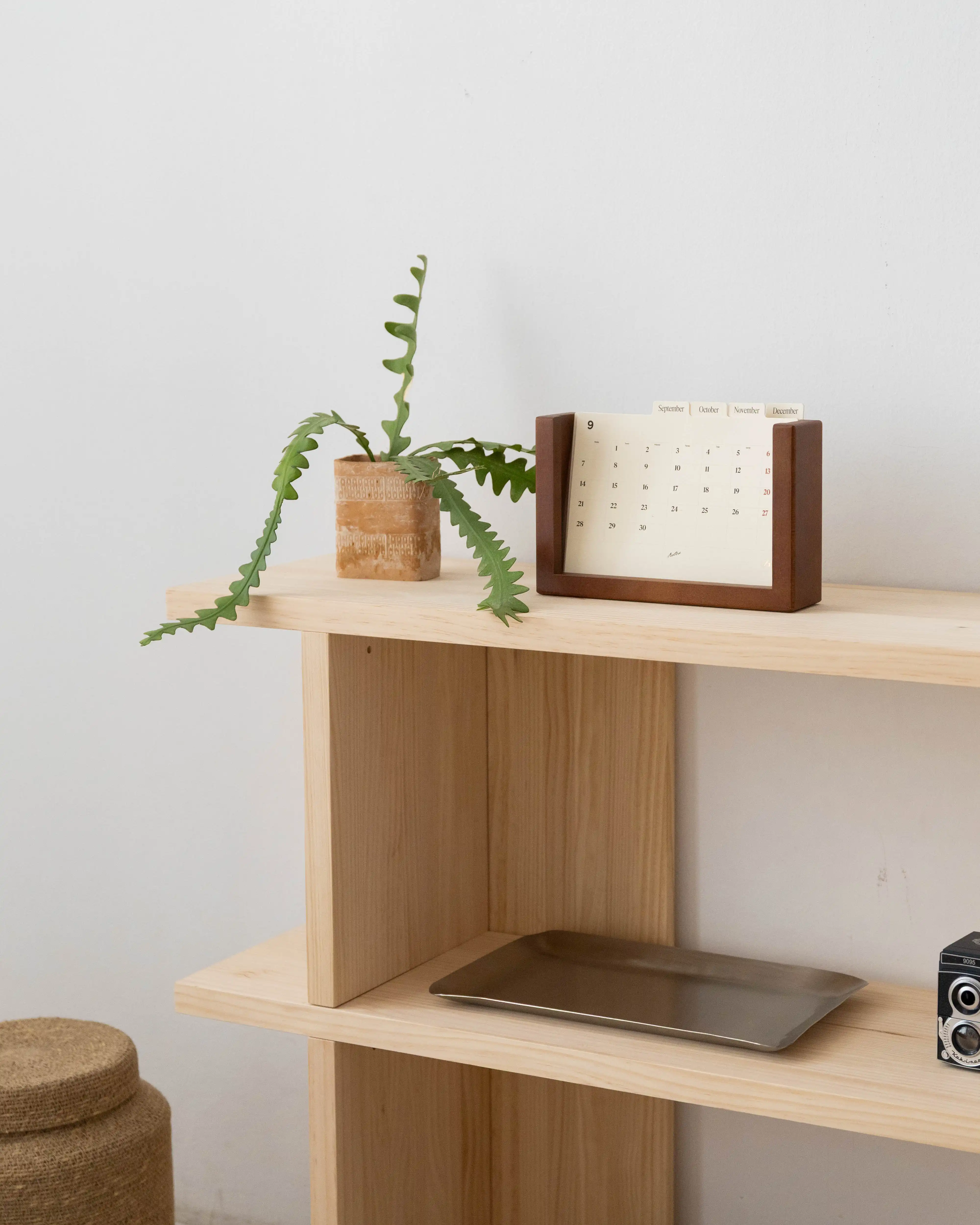Montgó solid wood bookcase 180 x 77.8 cm - Image 2